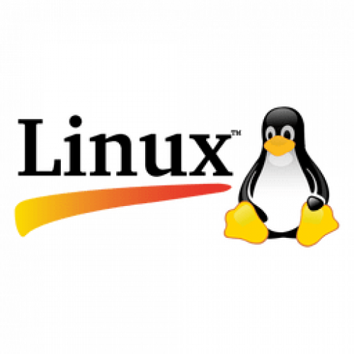 Linux Server Management 1 Month Linux Server Management 1 Month