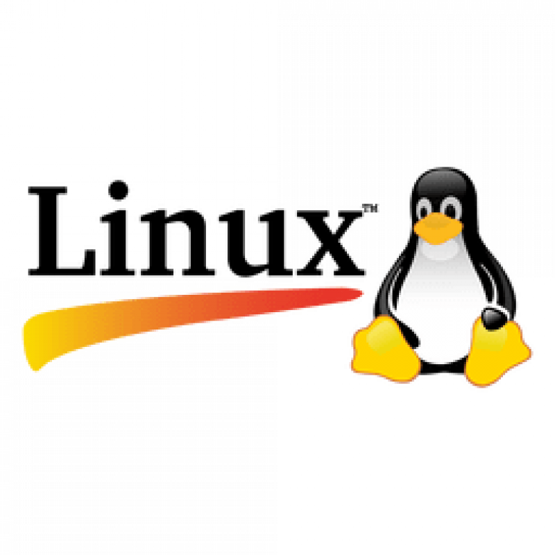Linux Server Management 1 Month